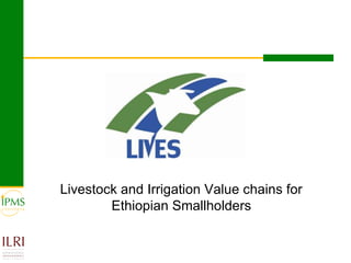 Innovative approaches of knowledge management in agriculture: Experiences from IPMS project–Ethiopia 