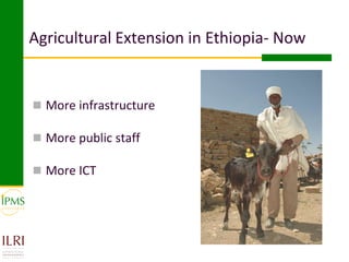 Innovative approaches of knowledge management in agriculture: Experiences from IPMS project–Ethiopia 