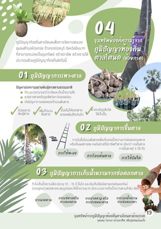 ภูมิปัญญาการเก็บน้ำหวานจากช่อดอกตาล
ภูมิปัญญาการเก็บน้ำหวานจากช่อดอกตาล
จุดเด่น
จุดเด่น โอกาส
โอกาส สร้างอาชีพ
สร้างอาชีพ เพื่อชุมชนเข้มแข็ง
เพื่อชุมชนเข้มแข็ง
13
04
04
03
03
ภูมิปัญญาการขึ้นตาล
ภูมิปัญญาการขึ้นตาล
02
02
ปั ญหาของการขยายพันธุ์ตาลตามธรรมชาติ
ใช้ระยะเวลานานกว่าจะโตและเก็บน้ำหวานได้
ตาลอาจตายหรือถูกสัตว์แทะกินยอดอ่อน
เกิดปัญหาการลดลงของจำนวนต้นตาล
การปีนขึ้นไปบนต้นตาลเพื่อเก็บรองน้ำหวานจากช่อดอกของตาล
หรือเก็บผลตาลสด คนปีนตาลที่มีอาชีพทำตาล เรียกว่า คนขึ้นตาล
การขึ้นตาลมี 3 วิธี คือ
ที่เริ่มเก็บน้ำหวานได้จะมีอายุ 10 - 15 ปี ขึ้นไป และเริ่มเก็บได้เมื่อตาลแทงช่อดอกใหม่
ช่วงฤดูหนาวดอกตาลจะสมบูรณ์และให้น้ำหวานมาก มีกระบวนการเก็บน้ำหวานตามลำดับ ดังนี้
ภูมิปัญญาการเพาะตาล
ภูมิปัญญาการเพาะตาล
ขุมทรัพย์องค์ความรู้จาก
ขุมทรัพย์องค์ความรู้จาก
ภูมิปัญญาท้องถิ่น
ภูมิปัญญาท้องถิ่น
ตาลโตนด
ตาลโตนด (ห้วยกรด)
(ห้วยกรด)
ภูมิปัญญาท้องถิ่นตาลโตนดเพื่อการจัดการตนเอง
ชุมชนตำบลห้วยกรด อำเภอสรรคบุรี จังหวัดชัยนาท
ที่สามารถแปลงเป็นขุมทรัพย์ สร้างอาชีพ สร้างรายได้
ประกอบด้วยภูมิปัญญาท้องถิ่นต่อไปนี้
ช่วยขยาย
พันธุ์ตาล
เพิ่มจำนวน
ต้นตาล
ตาลเจริญเติบโต
ได้เร็วขึ้น
ช่วยไม่ให้งอกตาล
แทงลงดินลึกเกินไป
01
01
การโอบต้นตาล
การโอบต้นตาล
การใช้บันได
การใช้บันได
การใช้พะอง
การใช้พะอง
การรองน้ำหวาน
การรองน้ำหวาน
จากช่อดอกตา
จากช่อดอกตา
การนวดตาล
การนวดตาล
การแช่ตาลหรือ
การแช่ตาลหรือ
การดองตาล
การดองตาล
การปาดตาล หรือ
การปาดตาล หรือ
การปาดหน้าตาล
การปาดหน้าตาล
ขุมทรัพย์จากภูมิปัญญาท้องถิ่นตาลโตนด (ห้วยกรด)
ขุมทรัพย์จากภูมิปัญญาท้องถิ่นตาลโตนด (ห้วยกรด)
 