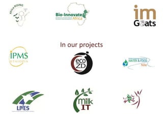 KM (and communication) at ILRI: Igniting ‘researching out loud’ for more effective development outcomes