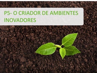 P5- O CRIADOR DE AMBIENTES
INOVADORES
 