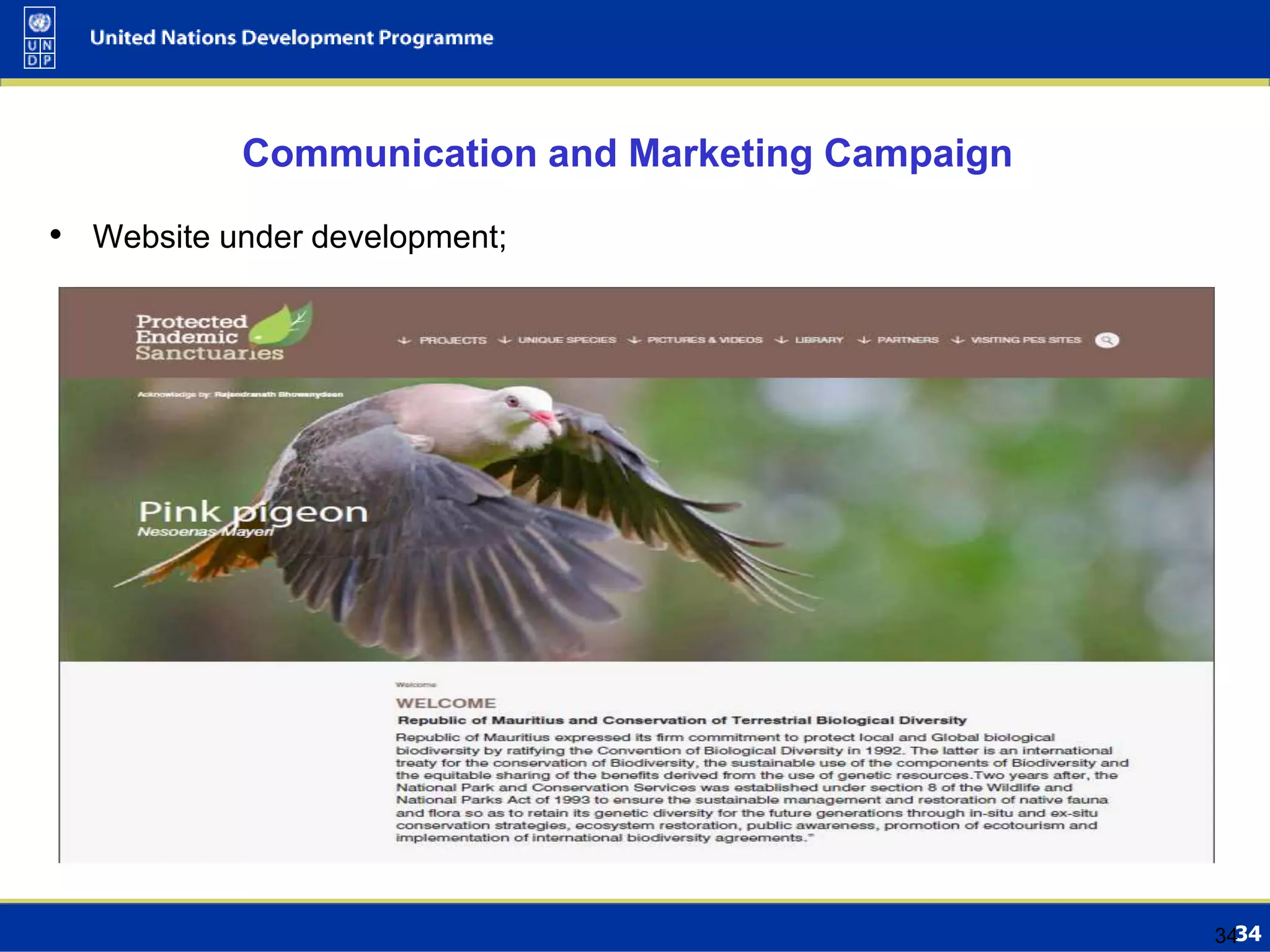 34
Communication and Marketing Campaign
• Website under development;
34
 