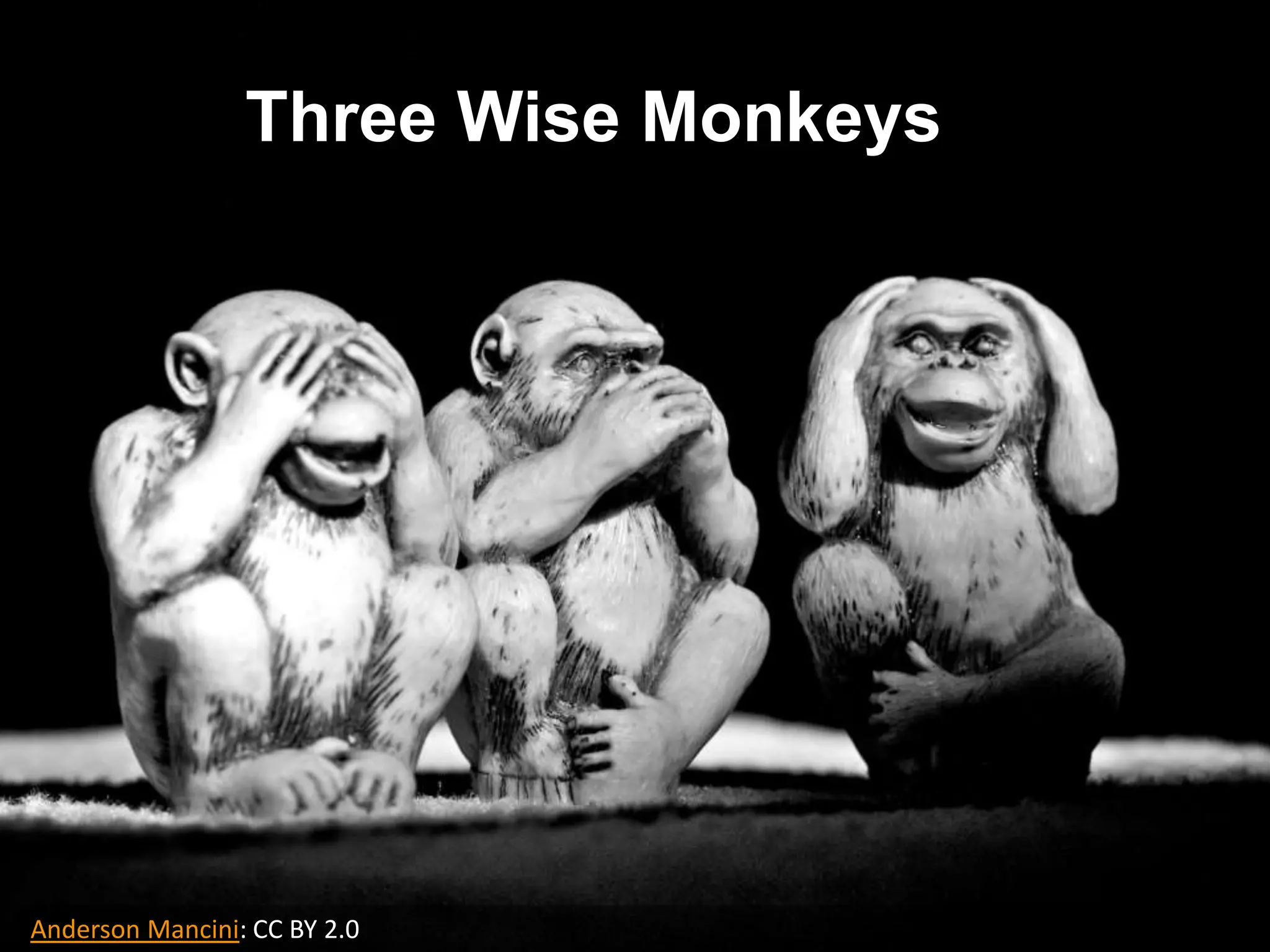Three Wise Monkeys
Anderson Mancini: CC BY 2.0
 