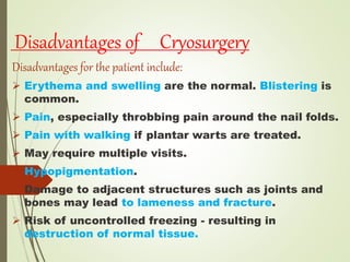 Disadvantages of Cryosurgery
Disadvantages for the patient include:
 Erythema and swelling are the normal. Blistering is
common.
 Pain, especially throbbing pain around the nail folds.
 Pain with walking if plantar warts are treated.
 May require multiple visits.
 Hypopigmentation.
 Damage to adjacent structures such as joints and
bones may lead to lameness and fracture.
 Risk of uncontrolled freezing - resulting in
destruction of normal tissue.
 