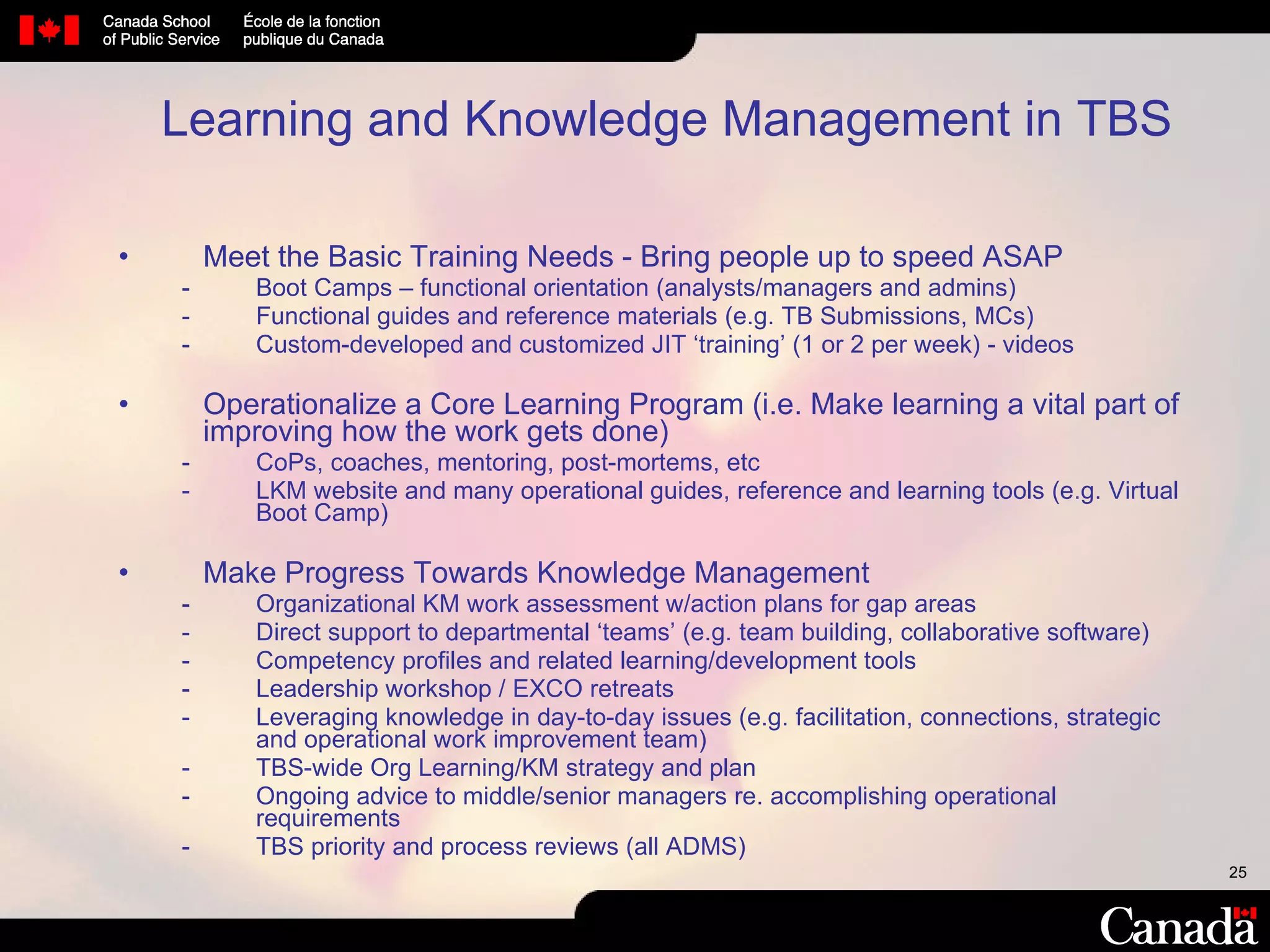 Learning and Knowledge Management in TBS Meet the Basic Training Needs - Bring people up to speed ASAP Boot Camps – functional orientation (analysts/managers and admins) Functional guides and reference materials (e.g. TB Submissions, MCs) Custom-developed and customized JIT ‘training’ (1 or 2 per week) - videos Operationalize a Core Learning Program (i.e. Make learning a vital part of improving how the work gets done) CoPs, coaches, mentoring, post-mortems, etc  LKM website and many operational guides, reference and learning tools (e.g. Virtual Boot Camp) Make Progress Towards Knowledge Management  Organizational KM work assessment w/action plans for gap areas  Direct support to departmental ‘teams’ (e.g. team building, collaborative software) Competency profiles and related learning/development tools Leadership workshop / EXCO retreats Leveraging knowledge in day-to-day issues (e.g. facilitation, connections, strategic and operational work improvement team) TBS-wide Org Learning/KM strategy and plan Ongoing advice to middle/senior managers re. accomplishing operational requirements TBS priority and process reviews (all ADMS) 