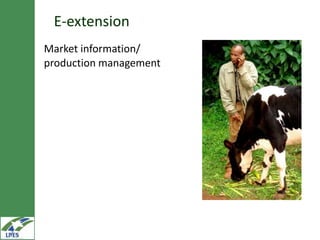 Knowledge management, communication and e-extension in the LIVES project