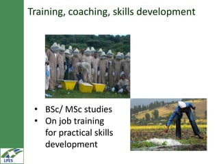 Knowledge management, communication and e-extension in the LIVES project