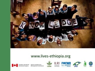 Knowledge management, communication and e-extension in the LIVES project