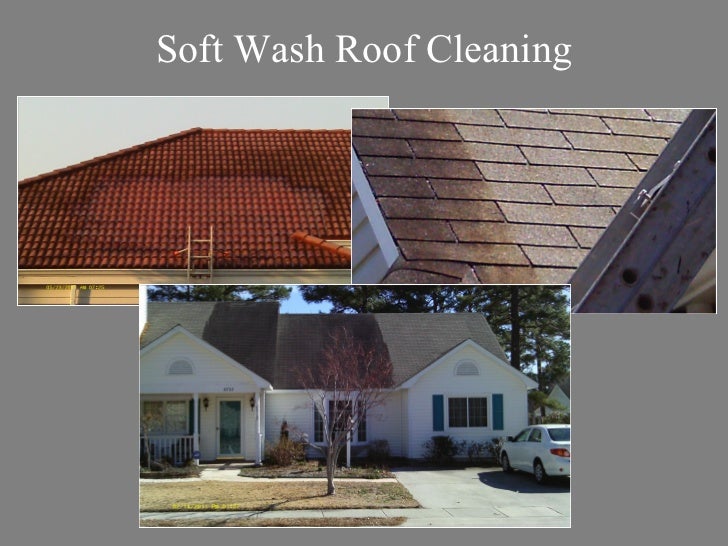 Roof Stain Removers Overview