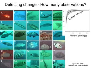 Arctic Change 2014 | Ottawa
Aguzzi et al., 2015.
Rev. Fish. Biol. Fisher. Accepted
Detecting change - How many observation...