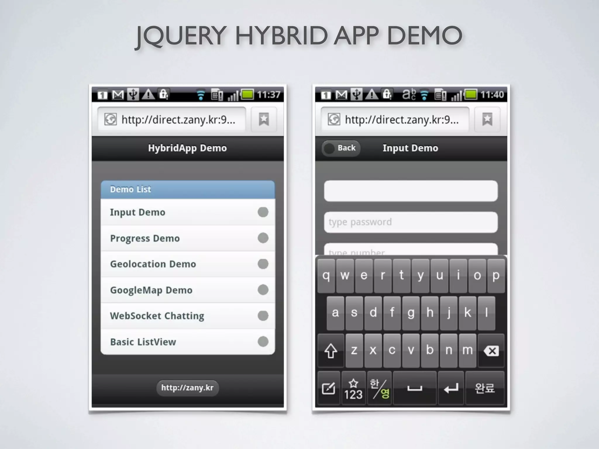 JQUERY HYBRID APP DEMO
 