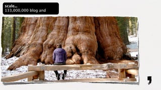 scale...
133,000,000 blog and
 