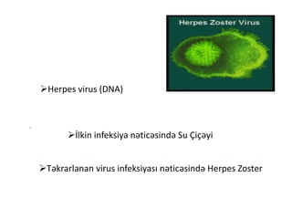 Herpes virus (DNA)
İlkin infeksiya nəticəsində Su Çiçəyi
Təkrarlanan virus infeksiyası nəticəsində Herpes Zoster
 