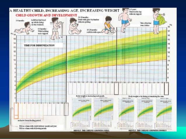 Kms balita depkes 2009