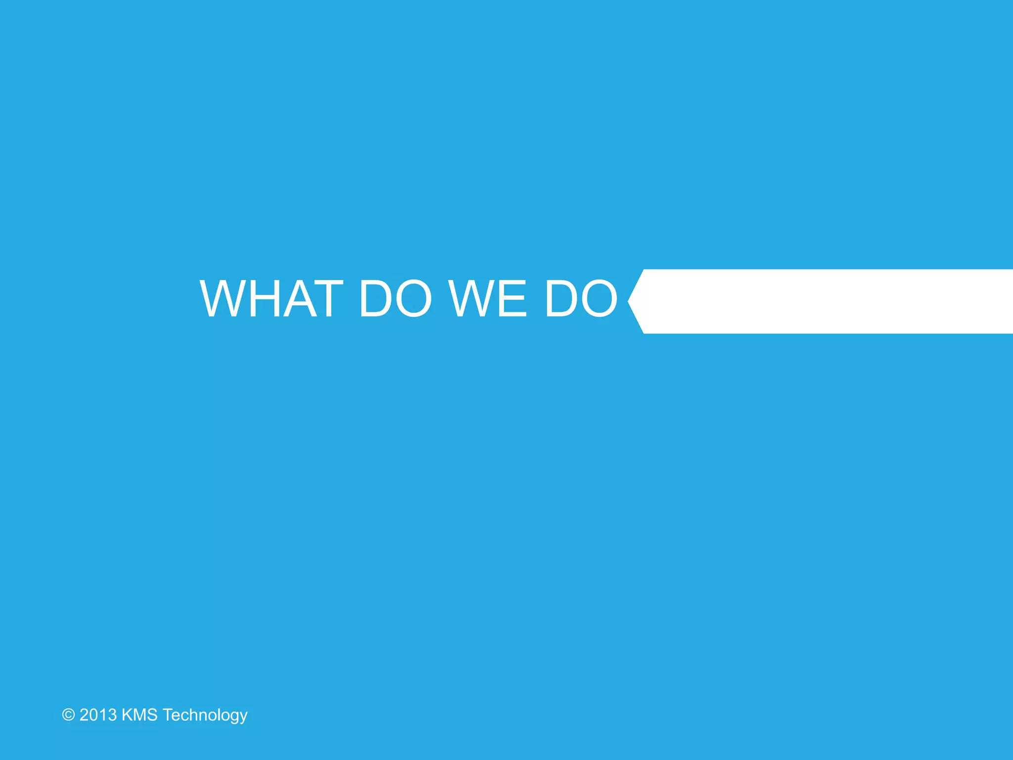 © 2013 KMS Technology
WHAT DO WE DO
 