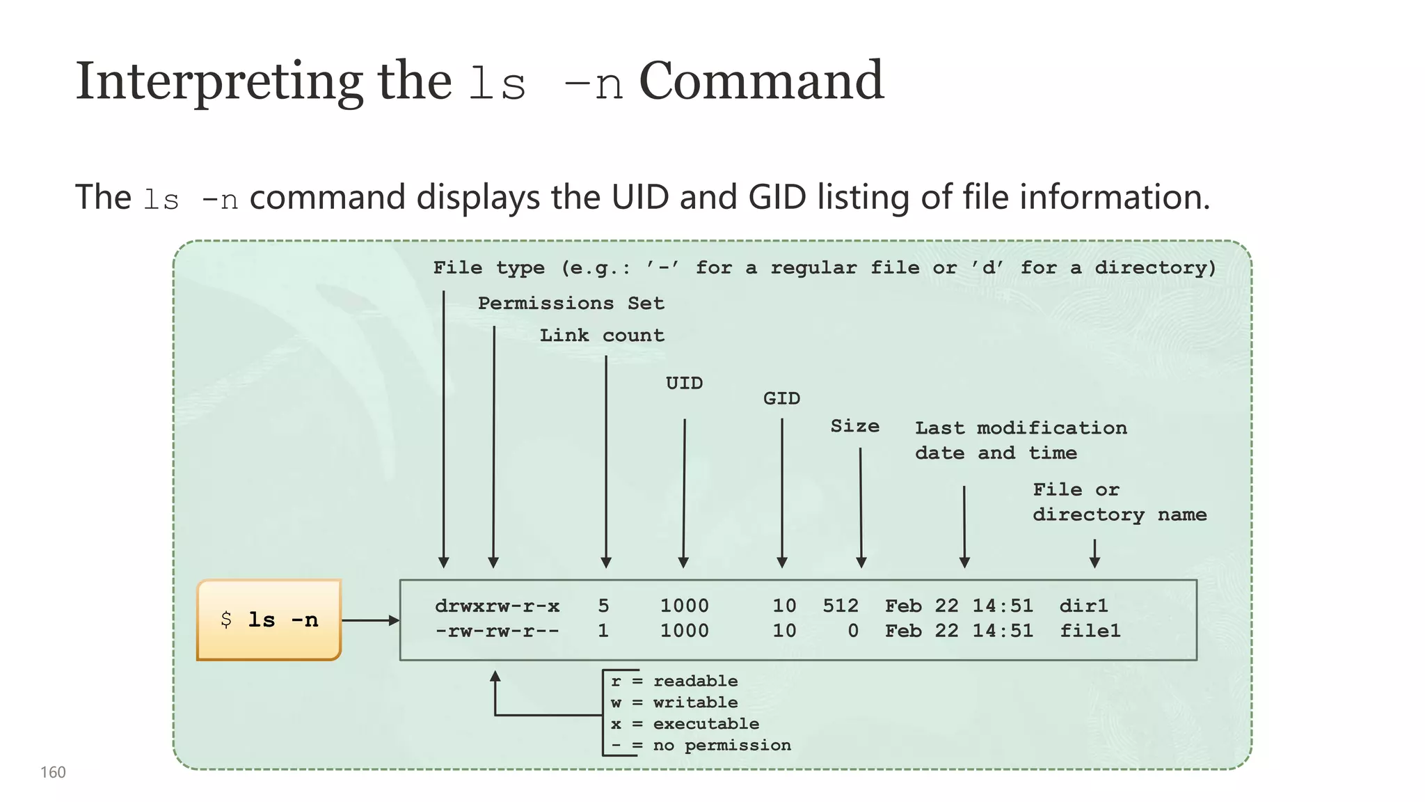 160
Interpreting the ls –n Command
The ls -n command displays the UID and GID listing of file information.
drwxrw-r-x 5 1000 10 512 Feb 22 14:51 dir1
-rw-rw-r-- 1 1000 10 0 Feb 22 14:51 file1
File type (e.g.: ’-’ for a regular file or ’d’ for a directory)
Permissions Set
Link count
UID
GID
Size Last modification
date and time
File or
directory name
r = readable
w = writable
x = executable
- = no permission
$ ls -n
 