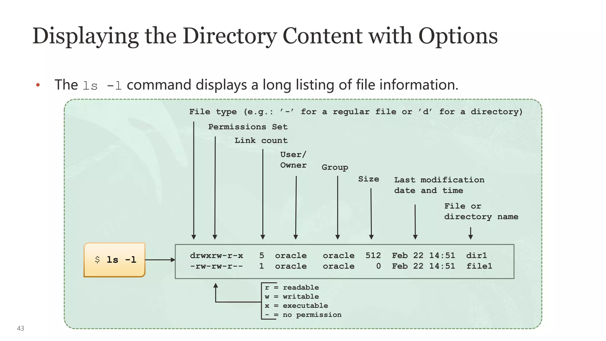 43
Displaying the Directory Content with Options
• The ls -l command displays a long listing of file information.
drwxrw-r-x 5 oracle oracle 512 Feb 22 14:51 dir1
-rw-rw-r-- 1 oracle oracle 0 Feb 22 14:51 file1
File type (e.g.: ’-’ for a regular file or ’d’ for a directory)
Permissions Set
Link count
User/
Owner Group
Size Last modification
date and time
File or
directory name
r = readable
w = writable
x = executable
- = no permission
$ ls -l
 