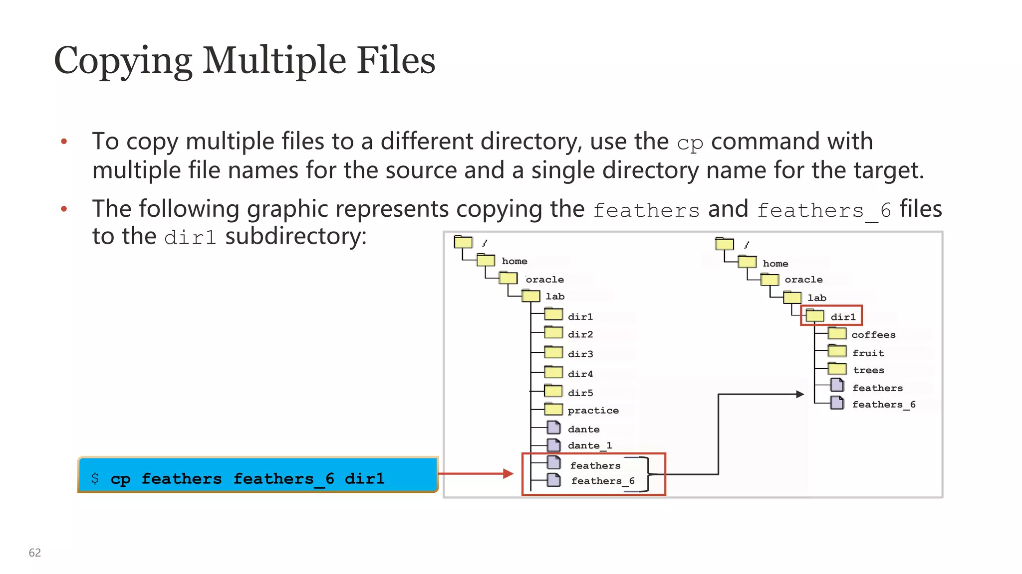 62
Copying Multiple Files
• To copy multiple files to a different directory, use the cp command with
multiple file names for the source and a single directory name for the target.
• The following graphic represents copying the feathers and feathers_6 files
to the dir1 subdirectory:
$ cp feathers feathers_6 dir1
home
oracle oracle
lab lab
feathers
feathers_6
coffees
fruit
trees
dir1
dir1
dir2
dir3
dir4
dir5
practice
dante
dante_1
feathers
feathers_6
home
 