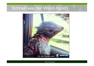 Schnell wie der Wind(-hund)
Kölner Marketingtag
 