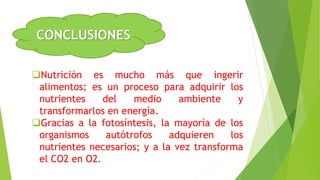 CONCLUSIONES
Nutrición es mucho más que ingerir
alimentos; es un proceso para adquirir los
nutrientes del medio ambiente y
transformarlos en energía.
Gracias a la fotosíntesis, la mayoría de los
organismos autótrofos adquieren los
nutrientes necesarios; y a la vez transforma
el CO2 en O2.
 