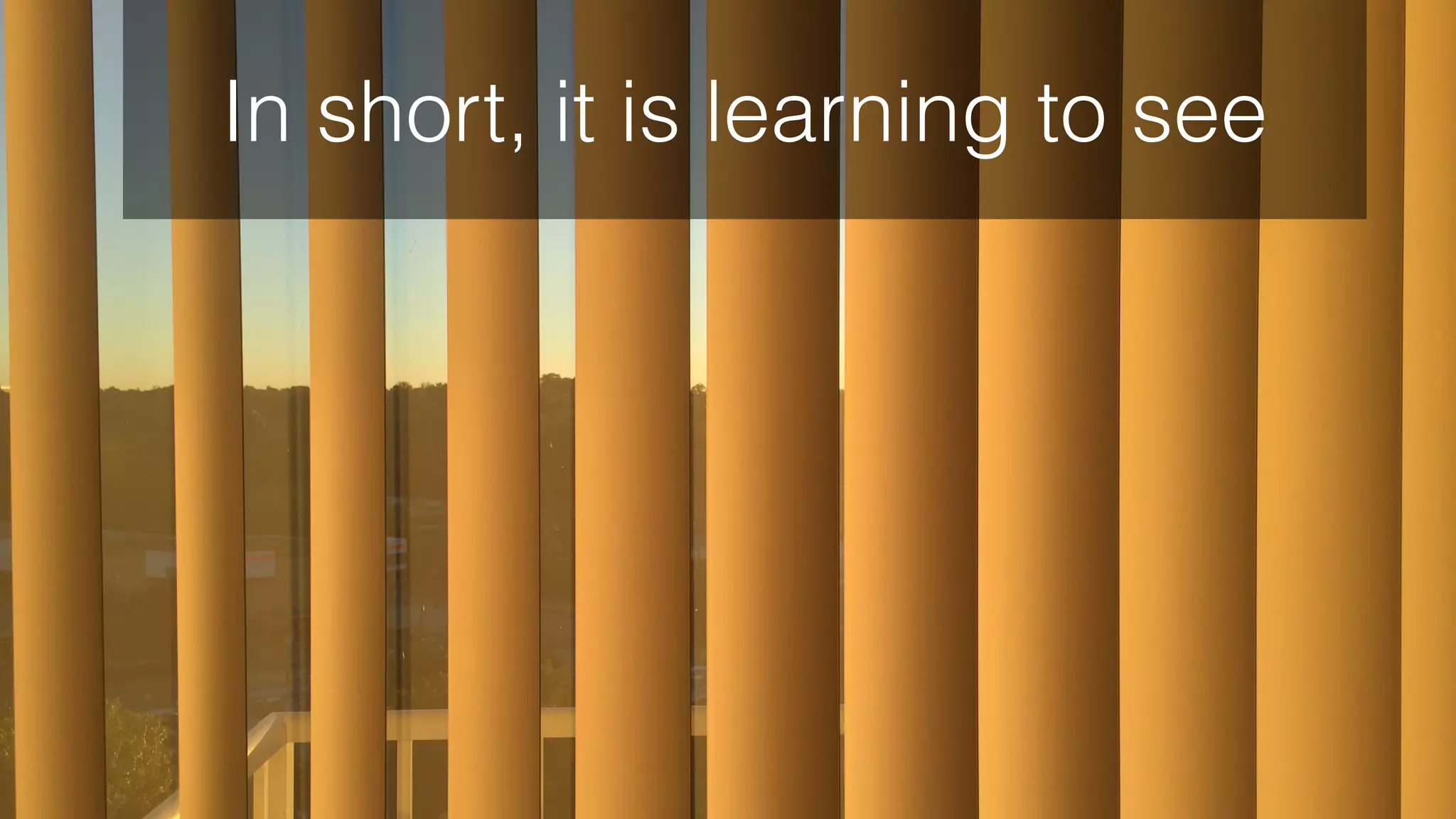 In short, it is learning to see
 