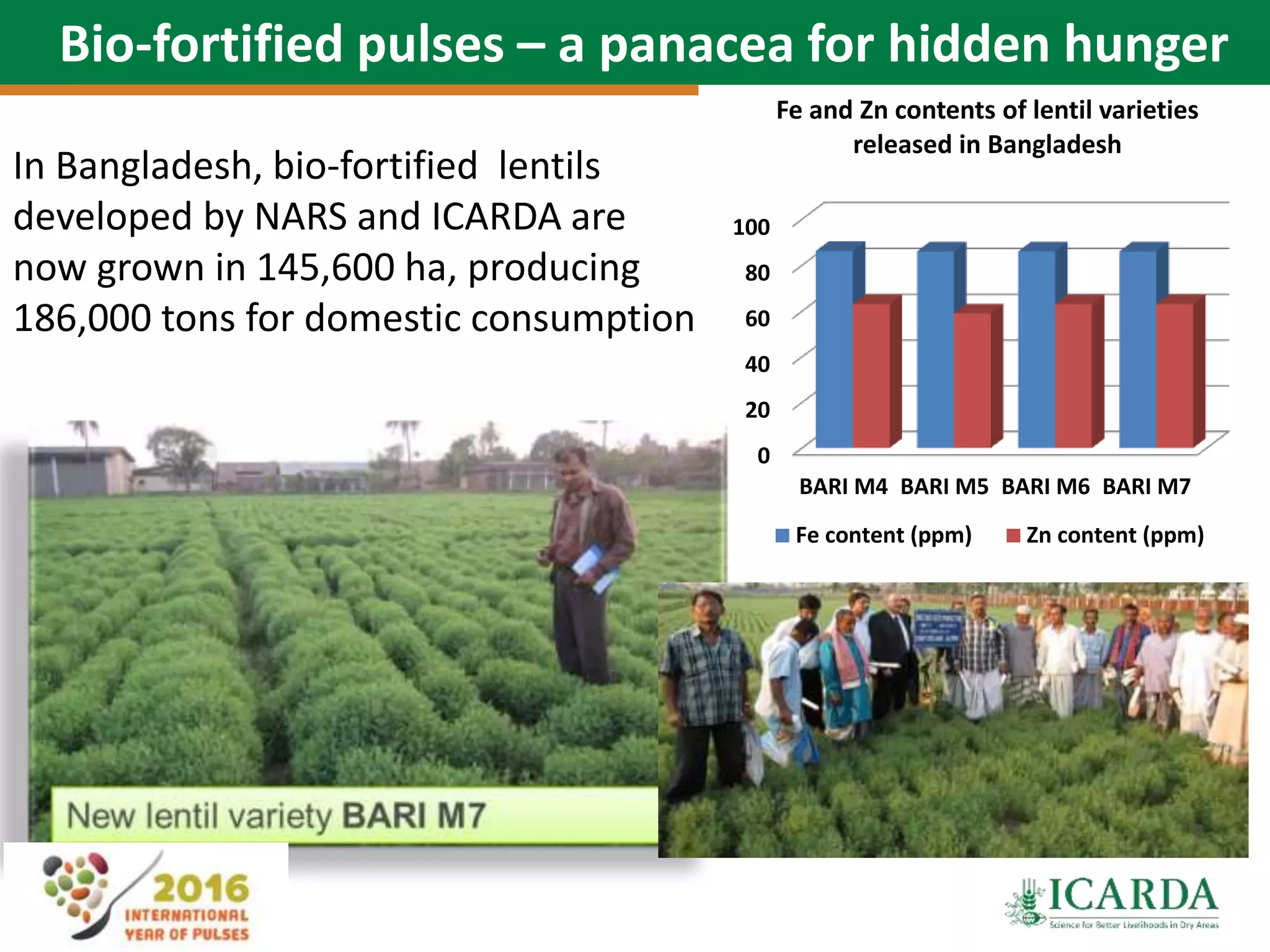 9
Bio-fortified pulses – a panacea for hidden hunger
0
20
40
60
80
100
BARI M4 BARI M5 BARI M6 BARI M7
Fe and Zn contents of lentil varieties
released in Bangladesh
Fe content (ppm) Zn content (ppm)
In Bangladesh, bio-fortified lentils
developed by NARS and ICARDA are
now grown in 145,600 ha, producing
186,000 tons for domestic consumption
 