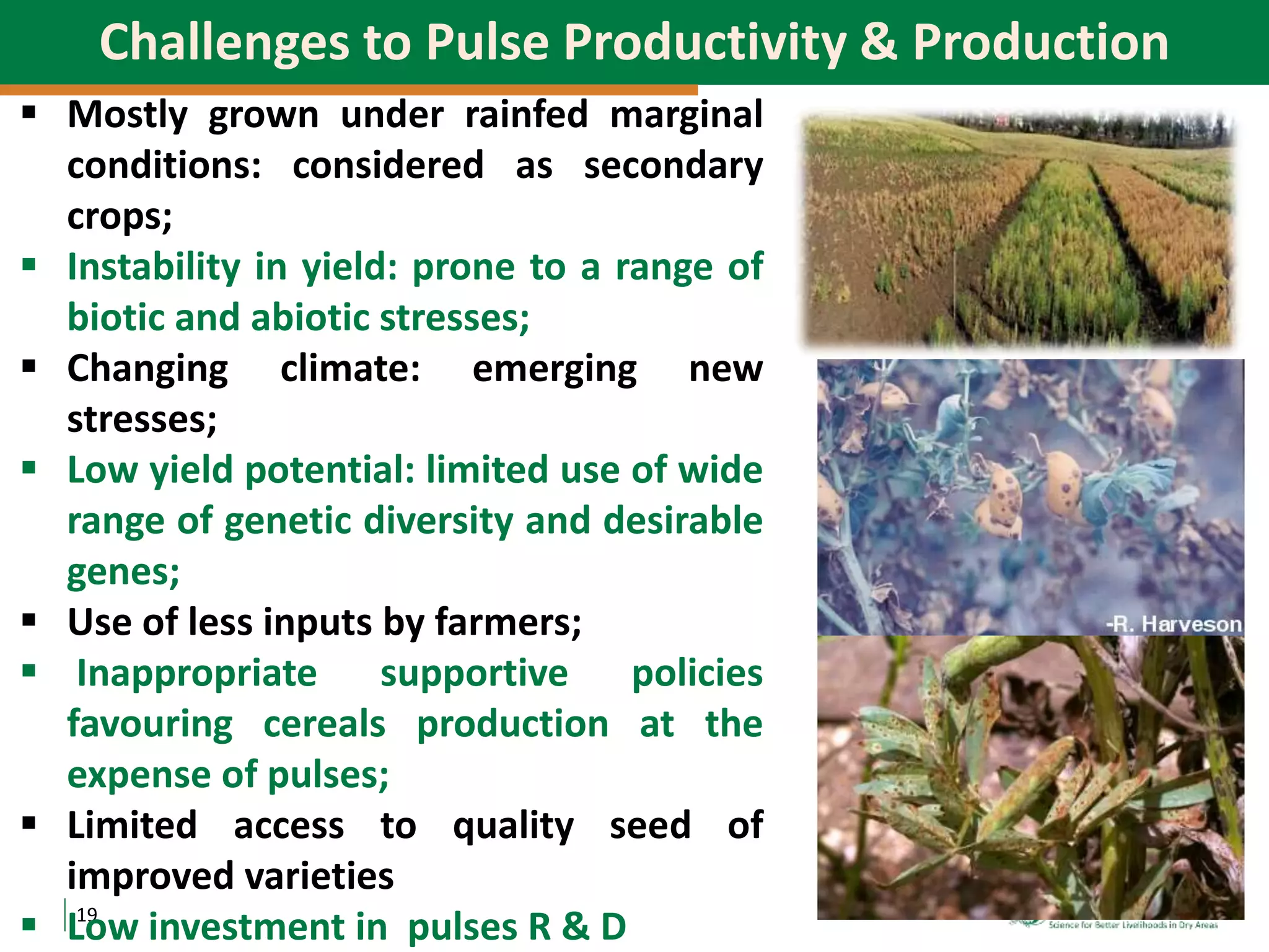 19
Challenges to Pulse Productivity & Production
 Mostly grown under rainfed marginal
conditions: considered as secondary
crops;
 Instability in yield: prone to a range of
biotic and abiotic stresses;
 Changing climate: emerging new
stresses;
 Low yield potential: limited use of wide
range of genetic diversity and desirable
genes;
 Use of less inputs by farmers;
 Inappropriate supportive policies
favouring cereals production at the
expense of pulses;
 Limited access to quality seed of
improved varieties
 Low investment in pulses R & D
 