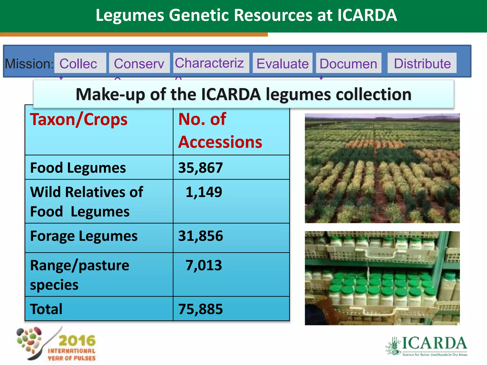 Collec
t
Mission: Conserv
e
Characteriz
e
Evaluate Documen
t
Distribute
Taxon/Crops No. of
Accessions
Food Legumes 35,867
Wild Relatives of
Food Legumes
1,149
Forage Legumes 31,856
Range/pasture
species
7,013
Total 75,885
Make-up of the ICARDA legumes collection
Legumes Genetic Resources at ICARDA
 