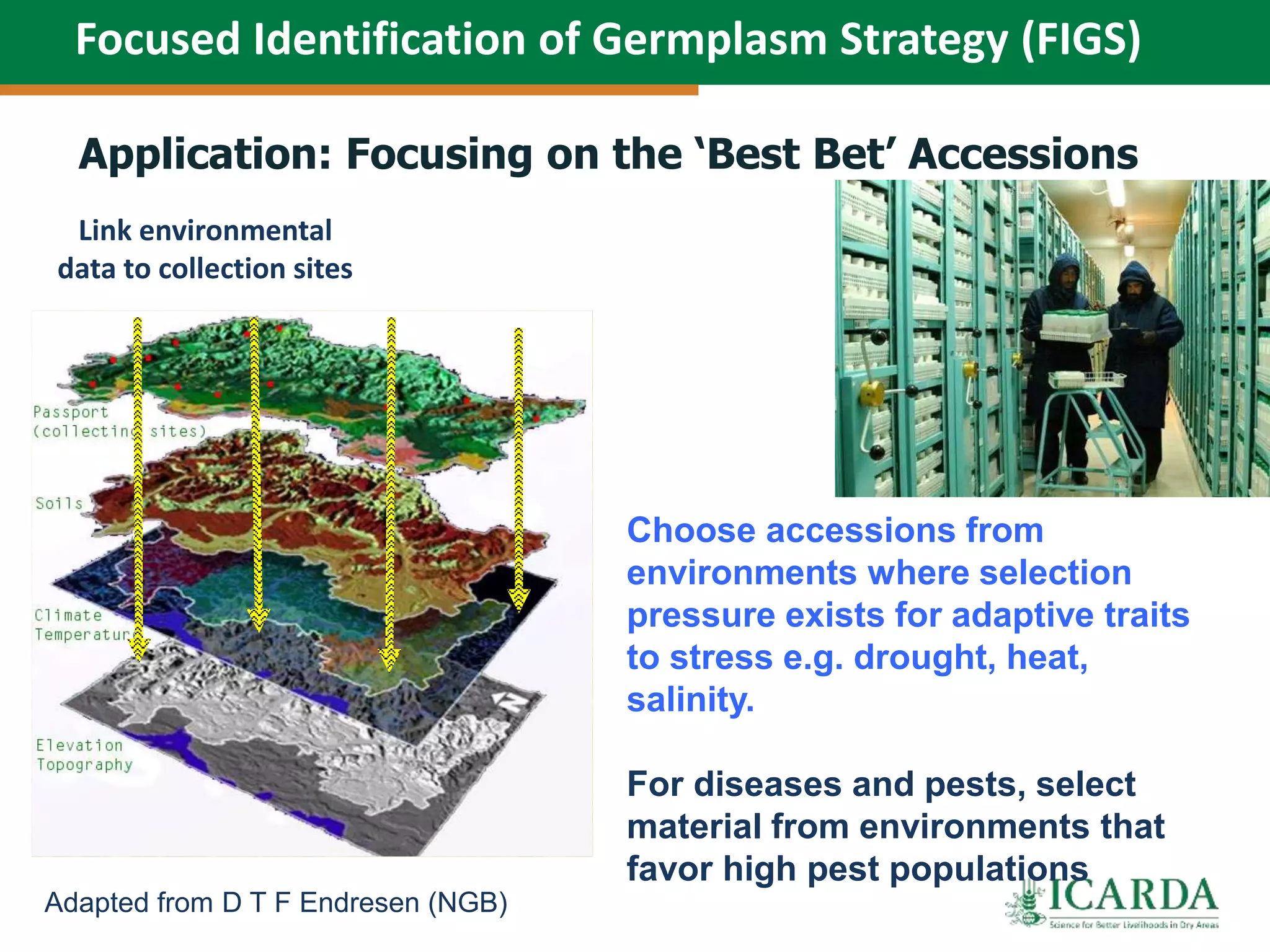 Link environmental
data to collection sites
Adapted from D T F Endresen (NGB)
Choose accessions from
environments where selection
pressure exists for adaptive traits
to stress e.g. drought, heat,
salinity.
For diseases and pests, select
material from environments that
favor high pest populations
Focused Identification of Germplasm Strategy (FIGS)
Application: Focusing on the ‘Best Bet’ Accessions
 