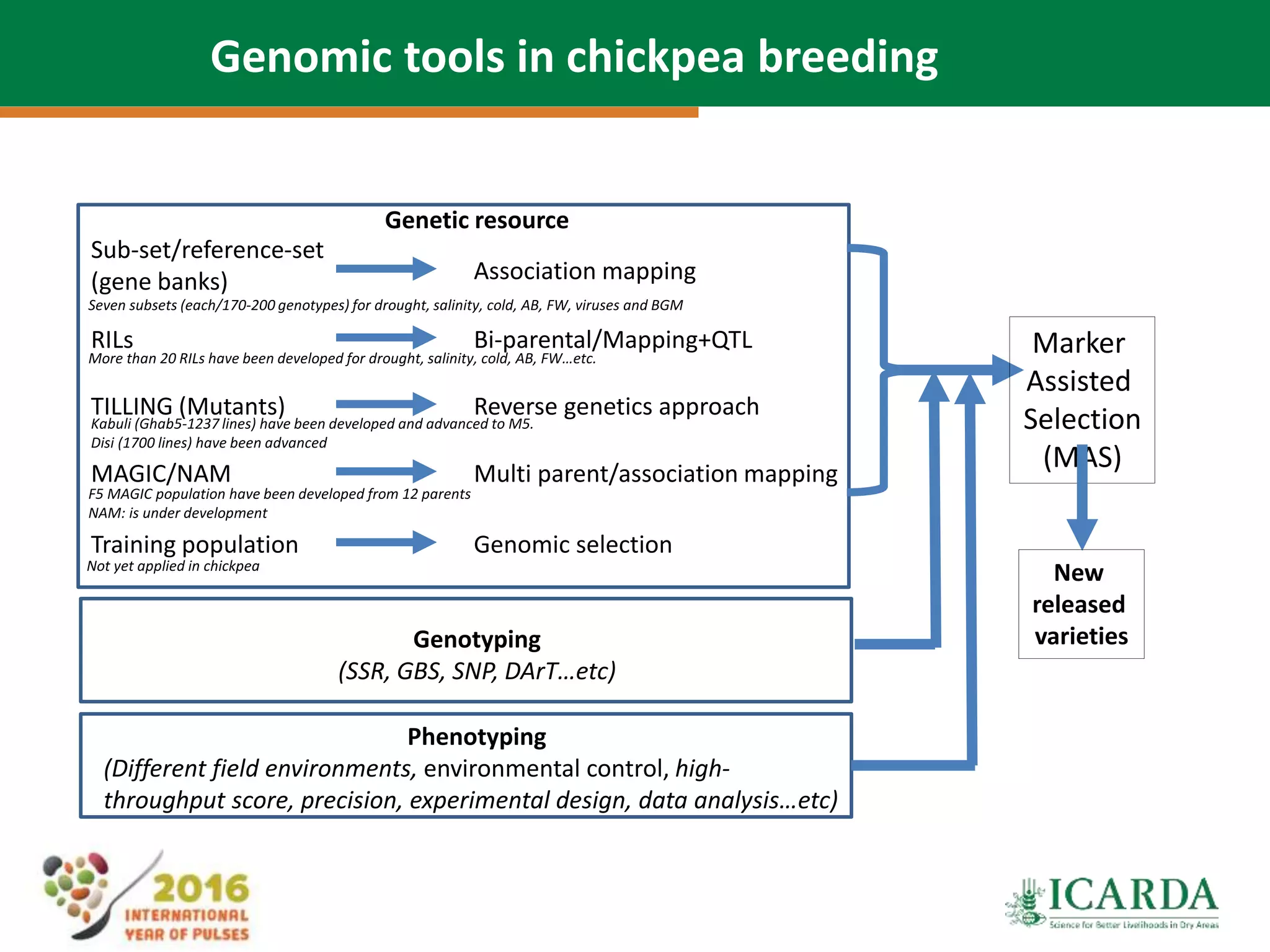 30
Genomic tools in chickpea breeding
Sub-set/reference-set
(gene banks)
RILs
TILLING (Mutants)
MAGIC/NAM
Training population
Association mapping
Bi-parental/Mapping+QTL
Reverse genetics approach
Multi parent/association mapping
Genomic selection
Genotyping
(SSR, GBS, SNP, DArT…etc)
Phenotyping
(Different field environments, environmental control, high-
throughput score, precision, experimental design, data analysis…etc)
Marker
Assisted
Selection
(MAS)
New
released
varieties
Seven subsets (each/170-200 genotypes) for drought, salinity, cold, AB, FW, viruses and BGM
More than 20 RILs have been developed for drought, salinity, cold, AB, FW…etc.
Kabuli (Ghab5-1237 lines) have been developed and advanced to M5.
Disi (1700 lines) have been advanced
F5 MAGIC population have been developed from 12 parents
NAM: is under development
Not yet applied in chickpea
Genetic resource
 