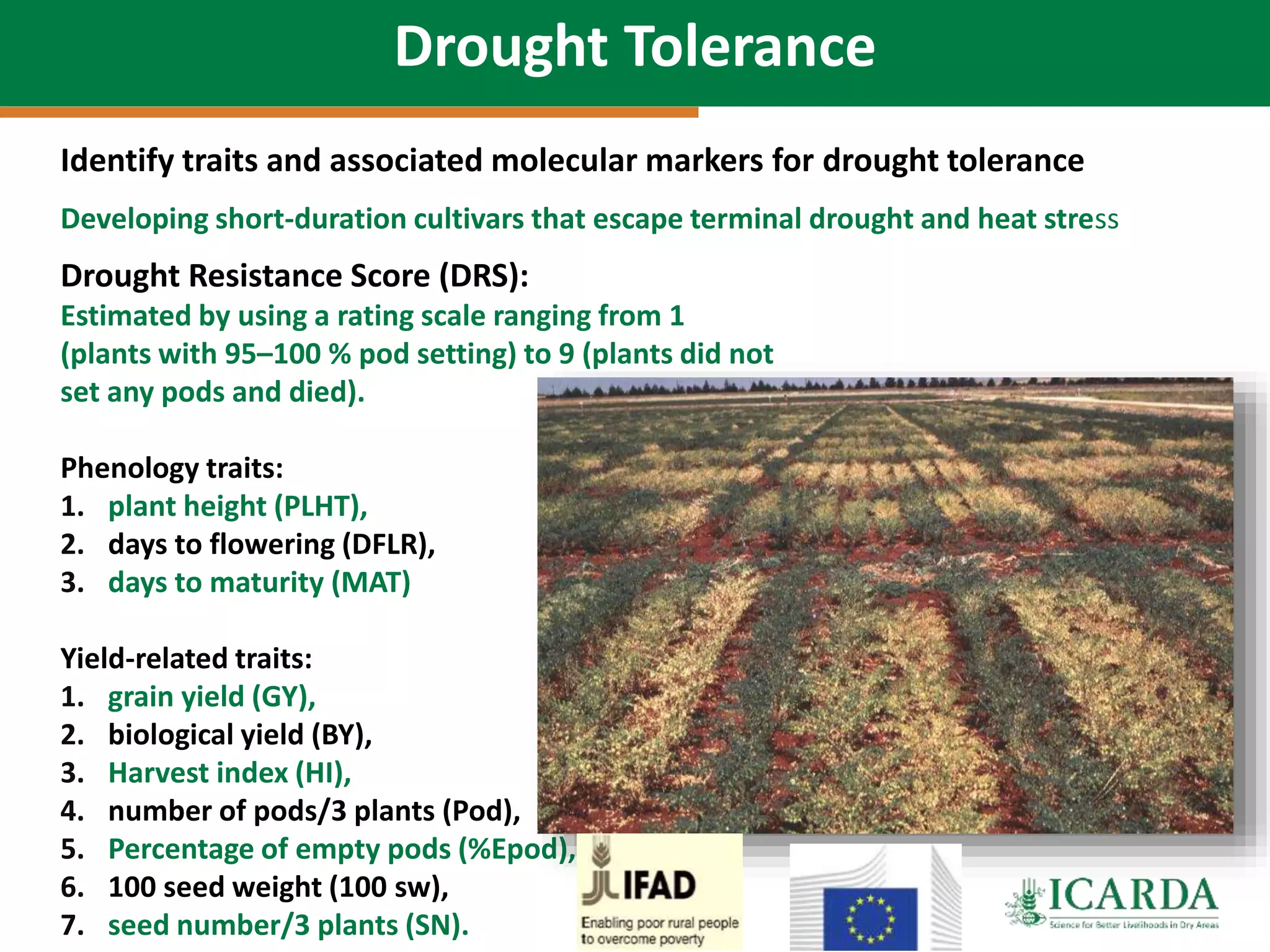 Identify traits and associated molecular markers for drought tolerance
Drought Resistance Score (DRS):
Estimated by using a rating scale ranging from 1
(plants with 95–100 % pod setting) to 9 (plants did not
set any pods and died).
Phenology traits:
1. plant height (PLHT),
2. days to flowering (DFLR),
3. days to maturity (MAT)
Yield-related traits:
1. grain yield (GY),
2. biological yield (BY),
3. Harvest index (HI),
4. number of pods/3 plants (Pod),
5. Percentage of empty pods (%Epod),
6. 100 seed weight (100 sw),
7. seed number/3 plants (SN).
Developing short-duration cultivars that escape terminal drought and heat stress
Drought Tolerance
 