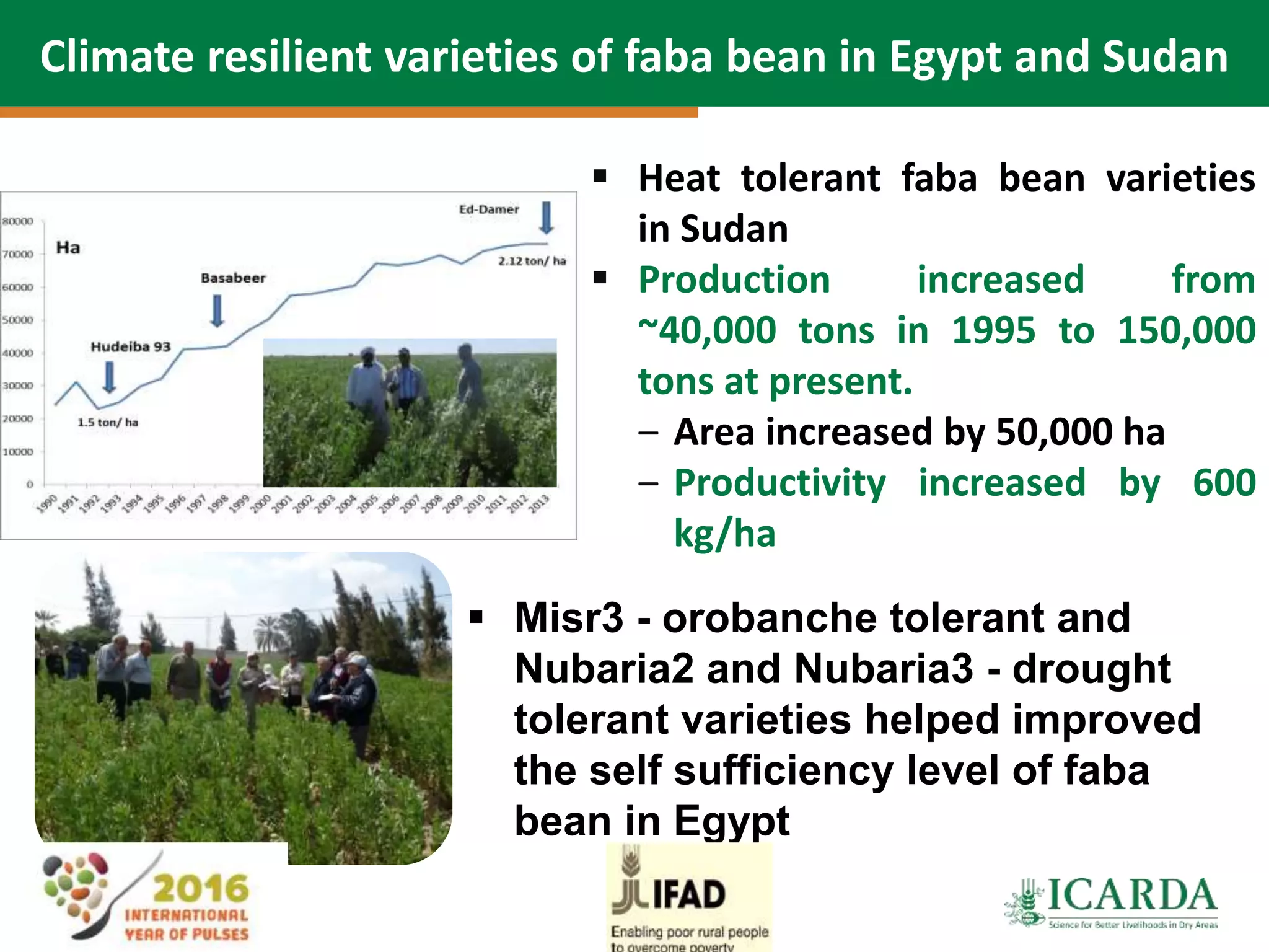 37
 Heat tolerant faba bean varieties
in Sudan
 Production increased from
~40,000 tons in 1995 to 150,000
tons at present.
‒ Area increased by 50,000 ha
‒ Productivity increased by 600
kg/ha
 Misr3 - orobanche tolerant and
Nubaria2 and Nubaria3 - drought
tolerant varieties helped improved
the self sufficiency level of faba
bean in Egypt
Climate resilient varieties of faba bean in Egypt and Sudan
 