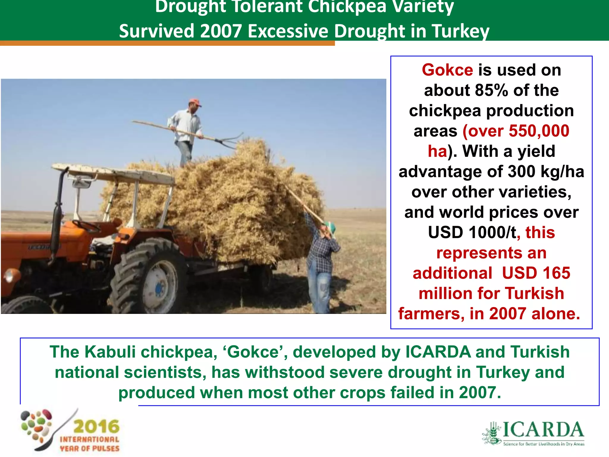 53
Drought Tolerant Chickpea Variety
Survived 2007 Excessive Drought in Turkey
The Kabuli chickpea, ‘Gokce’, developed by ICARDA and Turkish
national scientists, has withstood severe drought in Turkey and
produced when most other crops failed in 2007.
Gokce is used on
about 85% of the
chickpea production
areas (over 550,000
ha). With a yield
advantage of 300 kg/ha
over other varieties,
and world prices over
USD 1000/t, this
represents an
additional USD 165
million for Turkish
farmers, in 2007 alone..
 