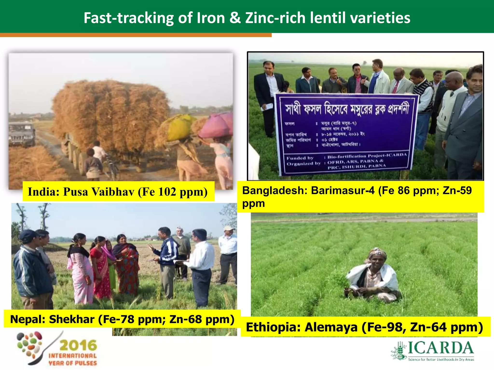 56
Fast-tracking of Iron & Zinc-rich lentil varieties
India: Pusa Vaibhav (Fe 102 ppm) Bangladesh: Barimasur-4 (Fe 86 ppm; Zn-59
ppm
Ethiopia: Alemaya (Fe-98, Zn-64 ppm)
Nepal: Shekhar (Fe-78 ppm; Zn-68 ppm)
 