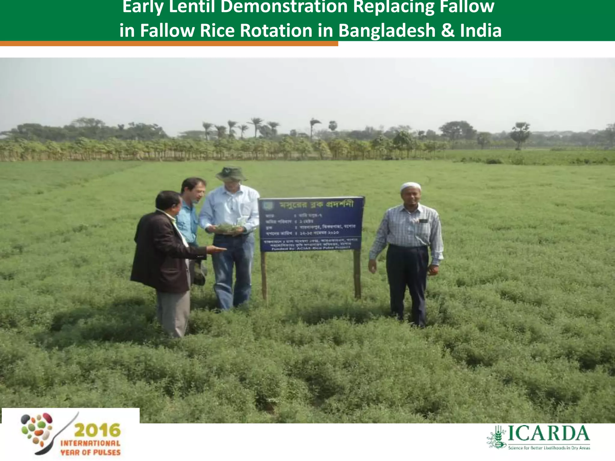 63
Early Lentil Demonstration Replacing Fallow
in Fallow Rice Rotation in Bangladesh & India
 