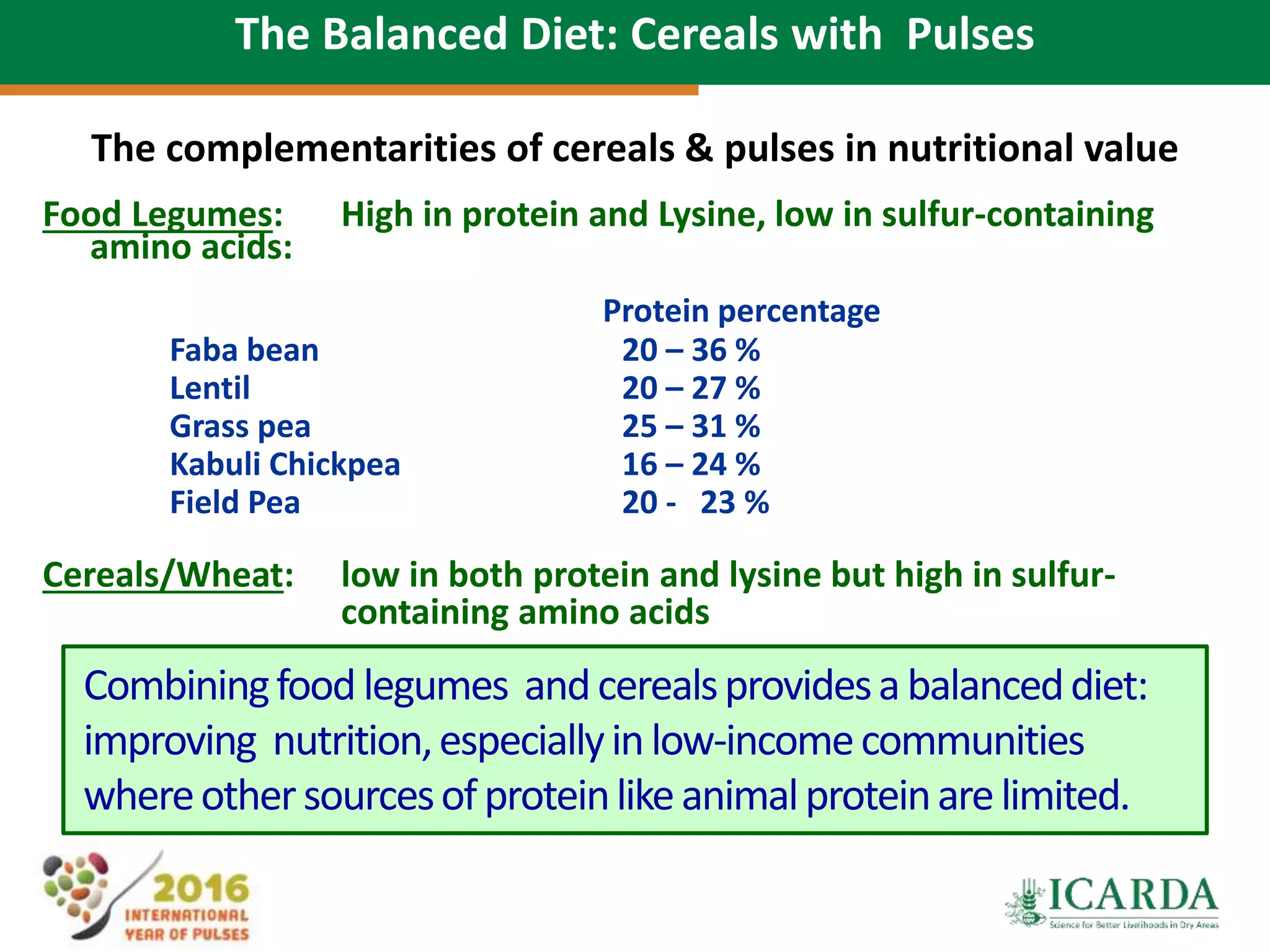The Balanced Diet: Cereals with Pulses
The complementarities of cereals & pulses in nutritional value
Food Legumes: High in protein and Lysine, low in sulfur-containing
amino acids:
Protein percentage
Faba bean 20 – 36 %
Lentil 20 – 27 %
Grass pea 25 – 31 %
Kabuli Chickpea 16 – 24 %
Field Pea 20 - 23 %
Cereals/Wheat: low in both protein and lysine but high in sulfur-
containing amino acids
Combiningfood legumes andcerealsprovidesabalanceddiet:
improving nutrition,especiallyinlow-incomecommunities
whereothersourcesofproteinlikeanimalproteinarelimited.
 