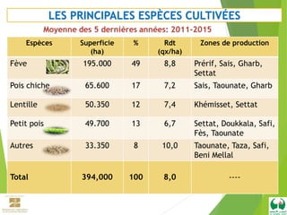 Fiche technique de la culture de la fève au Maroc