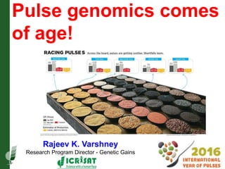 Pulse genomics comes
of age!
Rajeev K. Varshney
Research Program Director - Genetic Gains
 
