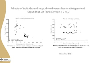 T w e n ty h ig h e s t n itro g e n c o n te n ts
2 .3 2 .4 2 .5 2 .6 2 .7 2 .8 2 .9 3 .0 3 .1
0
5 0 0
1 0 0 0
1 5 0 0
2 0 0 0
2 5 0 0
C o n tro l: P = 0 .5
S tre s s : r= -0 .4 5 ; P = 0 .0 4
R e la tio n s h ip s b e tw e e n h a u lm n itro g e n c o n te n ts a n d p o d
y ie ld in c u ltiv a rs ra n k e d fo r h a u lm n itro g e n
N itro g e n c o n ten t o f h a u lm s (% )
Podyield(kg/ha)
T w e n ty h ig h e s t p o d y ie ld e rs
1 .7 1 .8 1 .9 2 .0 2 .1 2 .2 2 .3 2 .4 2 .5 2 .6 2 .7 2 .8
0
5 0 0
1 0 0 0
1 5 0 0
2 0 0 0
2 5 0 0
3 0 0 0
3 5 0 0
4 0 0 0
c o n tro l: P = 0 .2 5
s tre s s : P = 0 .1 6
N itro g en co n te n t o f h a u lm (% )
Podyield(kg/ha)
R e la tio n s h ip s b e tw e e n h a u lm n itro g e n c o n te n ts a n d p o d
y ie ld in c u ltiv a rs ra n k e d fo r p o d y ie ld
Primary of trait: Groundnut pod yield versus haulm nitrogen yield
Groundnut Set [200 x 2 years x 2 H2O]
Blümmel et al (2012)
 