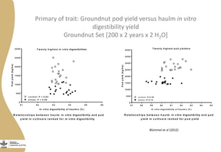 T w e n ty h ig h e s t in v itro digestibilities
6 1 6 2 6 3 6 4 6 5 6 6
0
5 0 0
1 0 0 0
1 5 0 0
2 0 0 0
2 5 0 0
3 0 0 0
c o n tro l: P = 0 .6 3
s tre s s : P = 0 .5 9
R e la tio n s h ip s b e tw e e n h a u lm in vitro d ig e s tib ility a n d p o d
y ie ld in c u ltiv a rs ra n k e d fo r in vitro d ig e s tib ility
In v itro digestibility of haulm s (% )
Podyield(kg/ha)
T w e n ty h ig h e s t p o d y ie ld e rs
5 7 5 8 5 9 6 0 6 1 6 2 6 3 6 4 6 5
0
5 0 0
1 0 0 0
1 5 0 0
2 0 0 0
2 5 0 0
3 0 0 0
3 5 0 0
4 0 0 0
s tre s s : P = 0 .7 6
c o n tro l: P = 0 .5 0
R e la tio n s h ip s b e tw e e n h a u lm in vitro d ig e s tib ility a n d p o d
y ie ld in c u ltiv a rs ra n k e d fo r p o d y ie ld
In v itro d ig e s tib ility o f h a u lm s (% )
Podyield(kg/ha)
Primary of trait: Groundnut pod yield versus haulm in vitro
digestibility yield
Groundnut Set [200 x 2 years x 2 H2O]
Blümmel et al (2012)
 