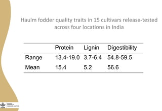 Haulm fodder quality traits in 15 cultivars release-tested
across four locations in India
Protein Lignin Digestibility
Range 13.4-19.0 3.7-6.4 54.8-59.5
Mean 15.4 5.2 56.6
 