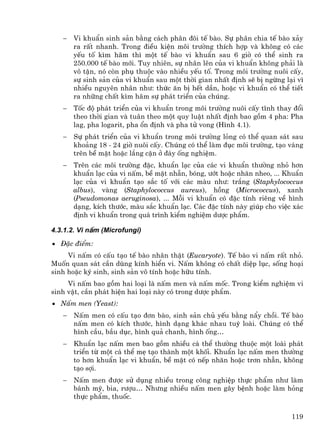 −   Vi khuÈn sinh s¶n b»ng c¸ch ph©n ®«i tÕ bµo. Sù ph©n chia tÕ bµo x¶y
       ra rÊt nhanh. Trong ®iÒu kiÖn m«i tr−êng thÝch hîp vµ kh«ng cã c¸c
       yÕu tè k×m h·m th× mét tÕ bµo vi khuÈn sau 6 giê cã thÓ sinh ra
       250.000 tÕ bµo míi. Tuy nhiªn, sù nh©n lªn cña vi khuÈn kh«ng ph¶i lµ
       v« tËn, nã cßn phô thuéc vµo nhiÒu yÕu tè. Trong m«i tr−êng nu«i cÊy,
       sù sinh s¶n cña vi khuÈn sau mét thêi gian nhÊt ®Þnh sÏ bÞ ngõng l¹i v×
       nhiÒu nguyªn nh©n nh−: thøc ¨n bÞ hÕt dÇn, hoÆc vi khuÈn cã thÓ tiÕt
       ra nh÷ng chÊt k×m h·m sù ph¸t triÓn cña chóng.
   −   Tèc ®é ph¸t triÓn cña vi khuÈn trong m«i tr−êng nu«i cÊy tÜnh thay ®æi
       theo thêi gian vµ tu©n theo mét quy luËt nhÊt ®Þnh bao gåm 4 pha: Pha
       lag, pha logarit, pha æn ®Þnh vµ pha tö vong (H×nh 4.1).
   −   Sù ph¸t triÓn cña vi khuÈn trong m«i tr−êng láng cã thÓ quan s¸t sau
       kho¶ng 18 - 24 giê nu«i cÊy. Chóng cã thÓ lµm ®ôc m«i tr−êng, t¹o v¸ng
       trªn bÒ mÆt hoÆc l¾ng cÆn ë ®¸y èng nghiÖm.
   −   Trªn c¸c m«i tr−êng ®Æc, khuÈn l¹c cña c¸c vi khuÈn th−êng nhá h¬n
       khuÈn l¹c cña vi nÊm, bÒ mÆt nh½n, bãng, −ít hoÆc nh¨n nheo, ... KhuÈn
       l¹c cña vi khuÈn t¹o s¾c tè víi c¸c mµu nh−: tr¾ng (Staphylococcus
       albus), vµng (Staphylococcus aureus), hång (Micrococcus), xanh
       (Pseudomonas aeruginosa), ... Mçi vi khuÈn cã ®Æc tÝnh riªng vÒ h×nh
       d¹ng, kÝch th−íc, mµu s¾c khuÈn l¹c. C¸c ®Æc tÝnh nµy gióp cho viÖc x¸c
       ®Þnh vi khuÈn trong qu¸ tr×nh kiÓm nghiÖm d−îc phÈm.

4.3.1.2. Vi nÊm (Microfungi)
• §Æc ®iÓm:
     Vi nÊm cã cÊu t¹o tÕ bµo nh©n thËt (Eucaryote). TÕ bµo vi nÊm rÊt nhá.
Muèn quan s¸t cÇn dïng kÝnh hiÓn vi. NÊm kh«ng cã chÊt diÖp lôc, sèng ho¹i
sinh hoÆc ký sinh, sinh s¶n v« tÝnh hoÆc h÷u tÝnh.
     Vi nÊm bao gåm hai lo¹i lµ nÊm men vµ nÊm mèc. Trong kiÓm nghiÖm vi
sinh vËt, cÇn ph¸t hiÖn hai lo¹i nµy cã trong d−îc phÈm.
• NÊm men (Yeast):
   −   NÊm men cã cÊu t¹o ®¬n bµo, sinh s¶n chñ yÕu b»ng nÈy chåi. TÕ bµo
       nÊm men cã kÝch th−íc, h×nh d¹ng kh¸c nhau tuú loµi. Chóng cã thÓ
       h×nh cÇu, bÇu dôc, h×nh qu¶ chanh, h×nh èng…
   −   KhuÈn l¹c nÊm men bao gåm nhiÒu c¸ thÓ th−êng thuéc mét loµi ph¸t
       triÓn tõ mét c¸ thÓ mÑ t¹o thµnh mét khèi. KhuÈn l¹c nÊm men th−êng
       to h¬n khuÈn l¹c vi khuÈn, bÒ mÆt cã nÕp nh¨n hoÆc tr¬n nh½n, kh«ng
       t¹o sîi.
   −   NÊm men ®−îc sö dông nhiÒu trong c«ng nghiÖp thùc phÈm nh− lµm
       b¸nh mú, bia, r−îu… Nh−ng nhiÒu nÊm men g©y bÖnh hoÆc lµm háng
       thùc phÈm, thuèc.

                                                                          119
 