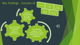 Key findings – Success of
Fox baiting
program and
fenced sanctuaries
working to reduce
predation.
Captive breeding
and translocation
supporting
population
increases and
genetic diversity.
Habitat
enhancement
/Burning off
providing
safe places
 