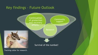 Key findings – Future Outlook
Survival of the numbat!
Research
Continuation
of protection
and recovery
efforts.
Community
support
Tracking collar for research.
 
