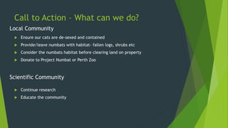 Call to Action – What can we do?
 Ensure our cats are de-sexed and contained
 Provide/leave numbats with habitat- fallen logs, shrubs etc
 Consider the numbats habitat before clearing land on property
 Donate to Project Numbat or Perth Zoo
 Continue research
 Educate the community
Local Community
Scientific Community
 