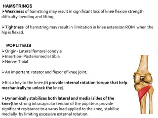 knee ..pptx