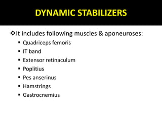 DYNAMIC STABILIZERS
It includes following muscles & aponeuroses:
 Quadriceps femoris
 IT band
 Extensor retinaculum
 Poplitius
 Pes anserinus
 Hamstrings
 Gastrocnemius
 
