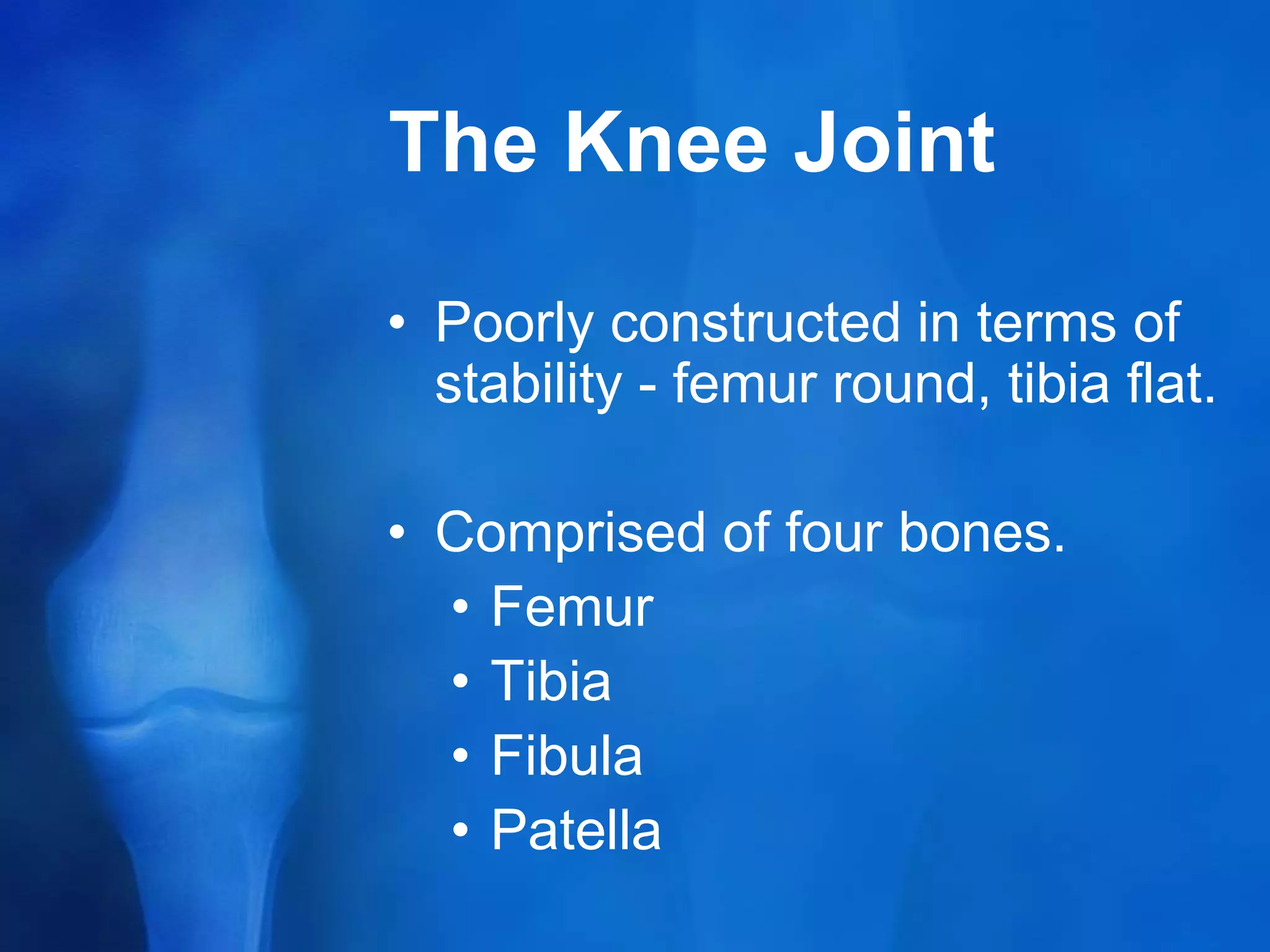 knee-anatomy.ppt