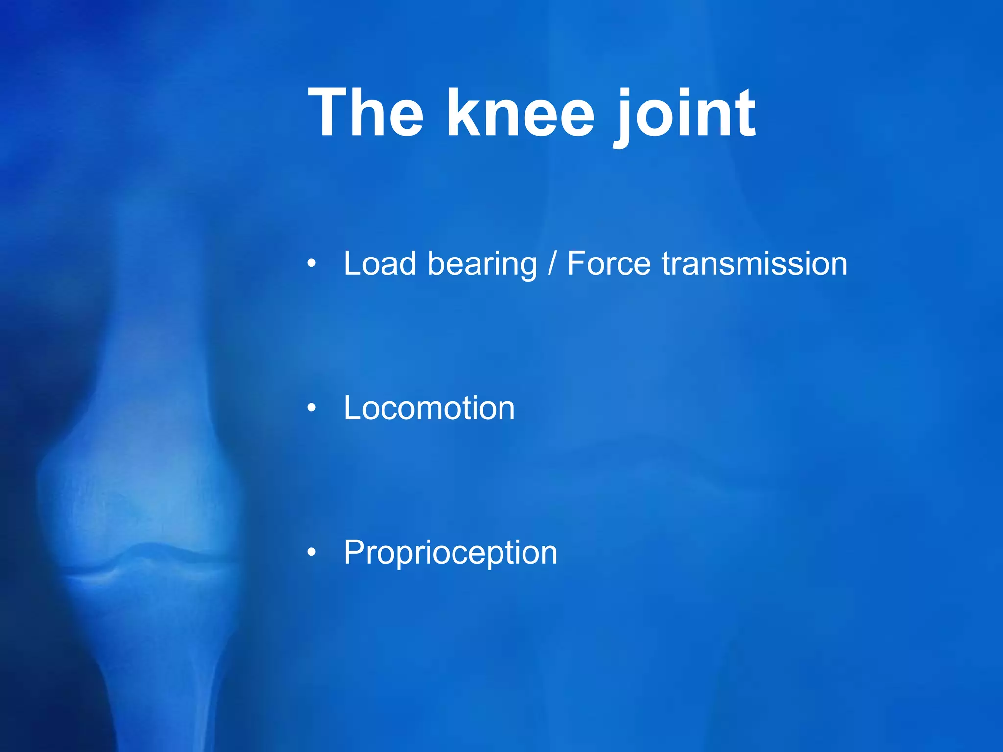 knee-anatomy.ppt