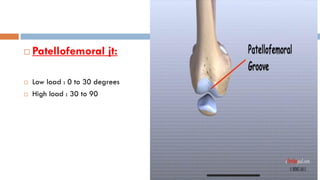 Patellar Loading Simplified Mechanics of the knee joint and it’s stabilizing system | PDF